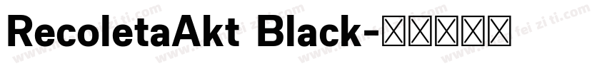 RecoletaAkt Black字体转换